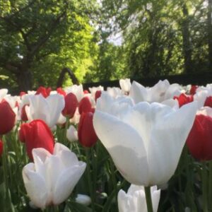 Profile photo of Anja