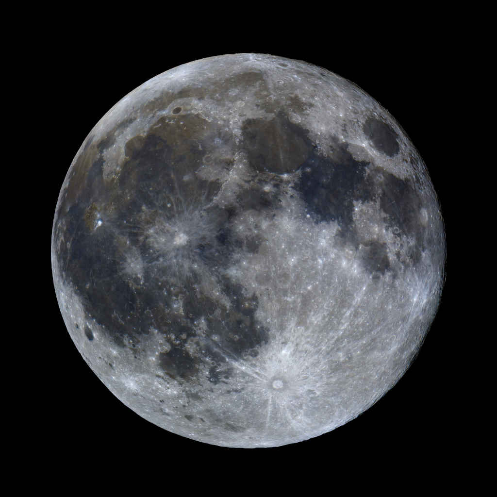 Profile photo of Charlotte H